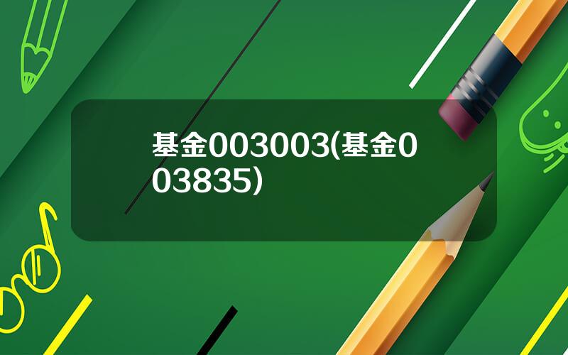 基金003003(基金003835)