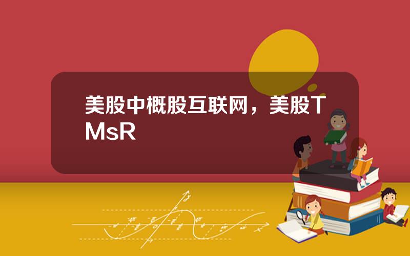 美股中概股互联网，美股TMsR