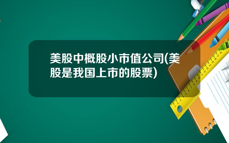 美股中概股小市值公司(美股是我国上市的股票)