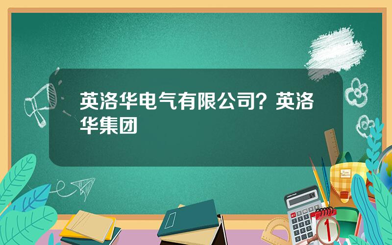 英洛华电气有限公司？英洛华集团