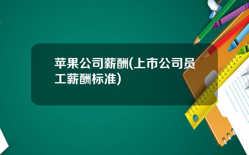 苹果公司薪酬(上市公司员工薪酬标准)