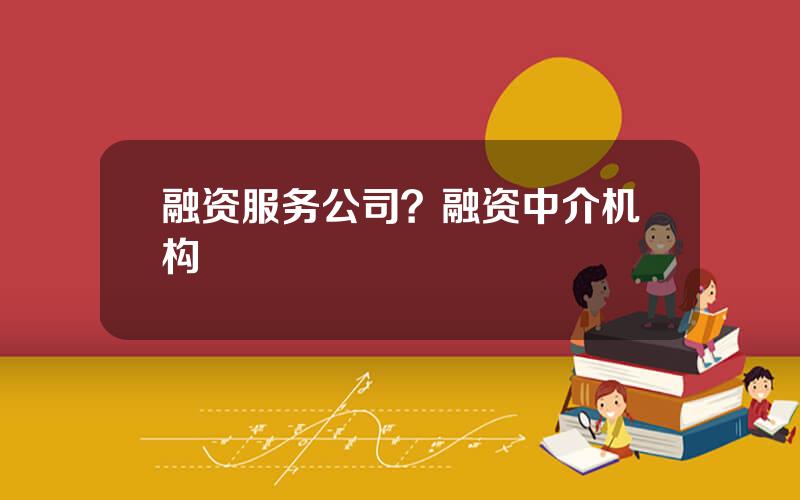 融资服务公司？融资中介机构