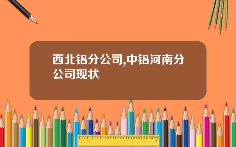 西北铝分公司,中铝河南分公司现状