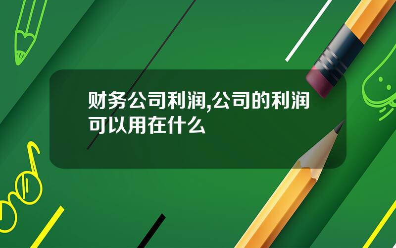财务公司利润,公司的利润可以用在什么
