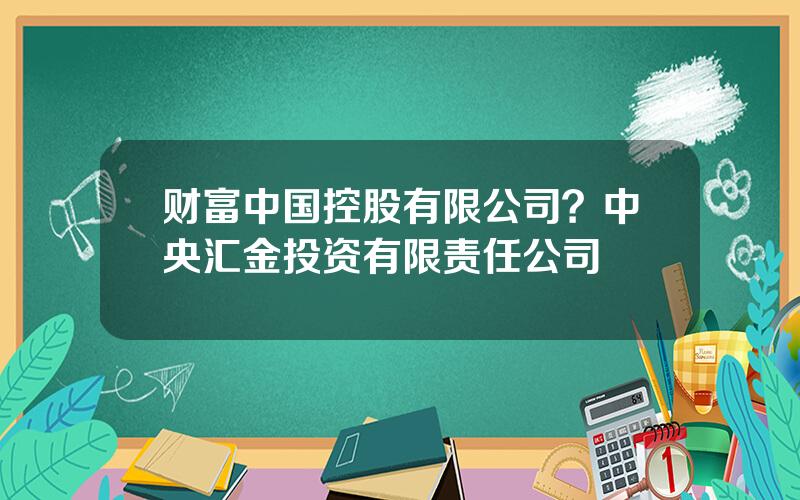 财富中国控股有限公司？中央汇金投资有限责任公司