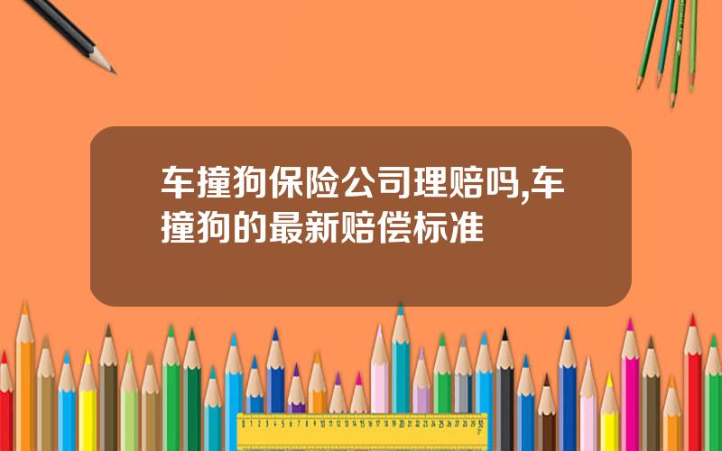 车撞狗保险公司理赔吗,车撞狗的最新赔偿标准