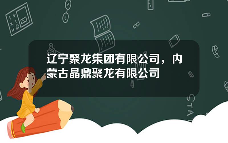 辽宁聚龙集团有限公司，内蒙古晶鼎聚龙有限公司