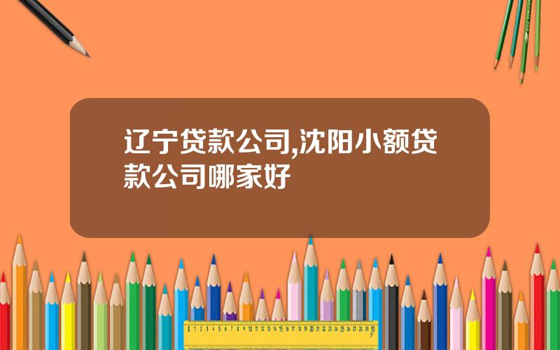 辽宁贷款公司,沈阳小额贷款公司哪家好