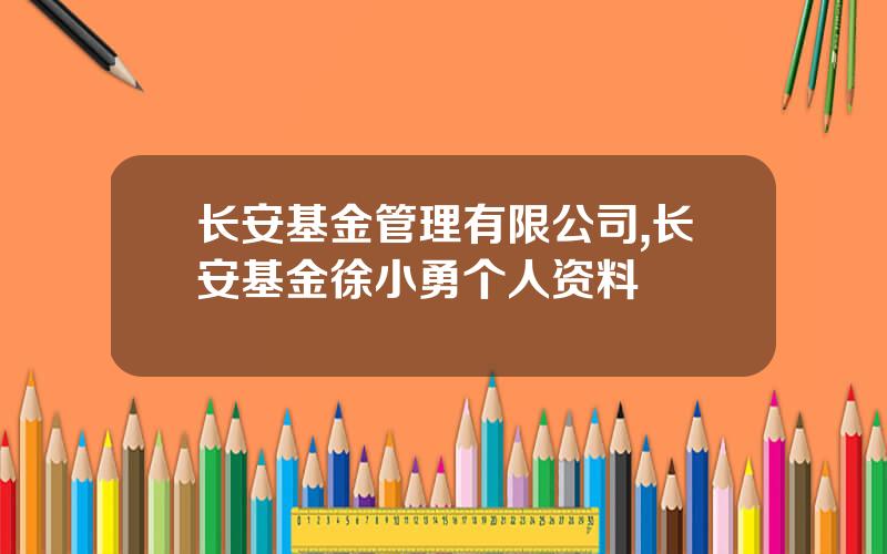 长安基金管理有限公司,长安基金徐小勇个人资料