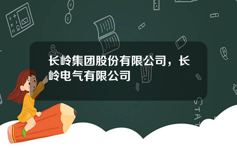 长岭集团股份有限公司，长岭电气有限公司