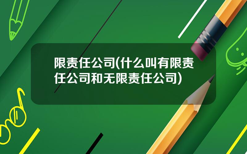 限责任公司(什么叫有限责任公司和无限责任公司)