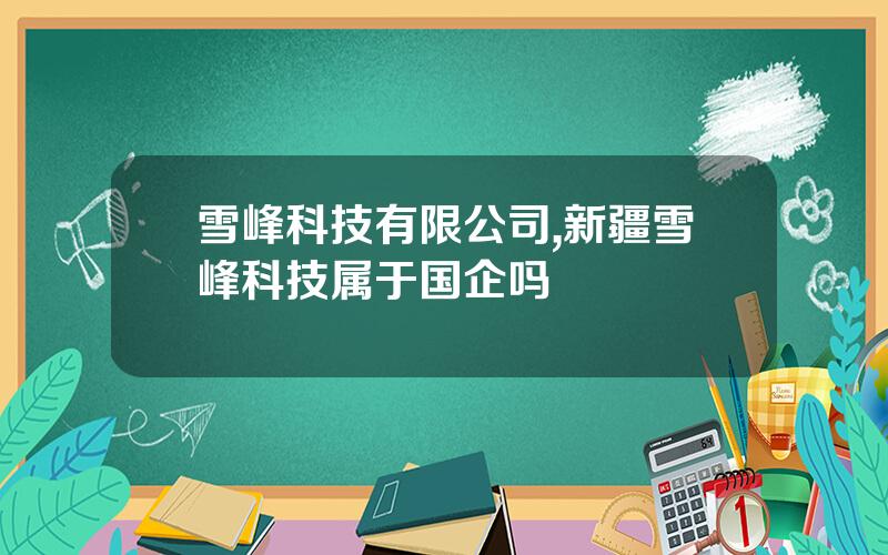 雪峰科技有限公司,新疆雪峰科技属于国企吗