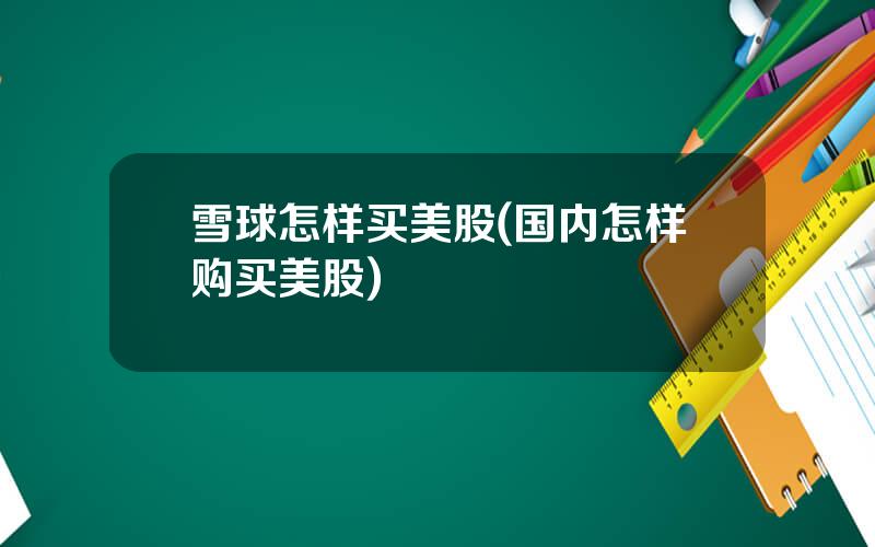 雪球怎样买美股(国内怎样购买美股)