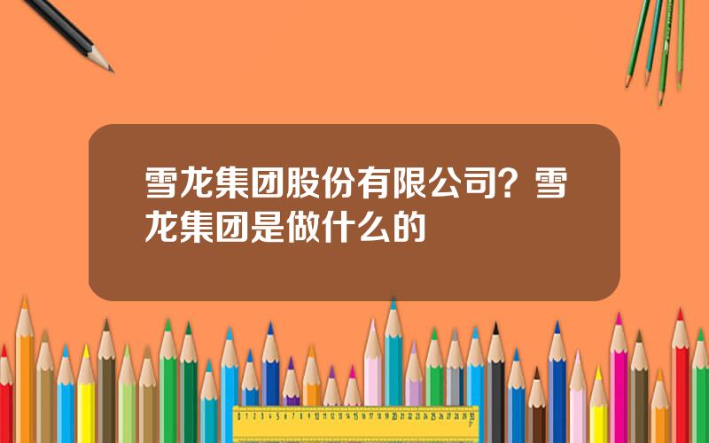 雪龙集团股份有限公司？雪龙集团是做什么的